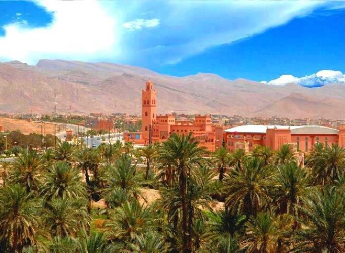 Tours and day trip in Morocco