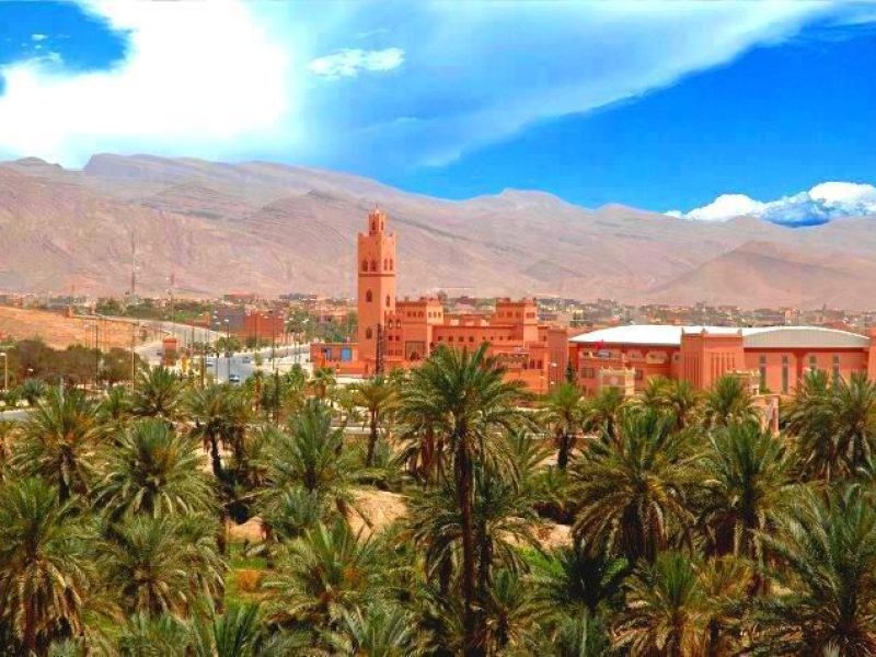 Tours and day trip in Morocco