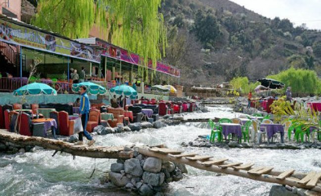 Tours and day trip in Morocco