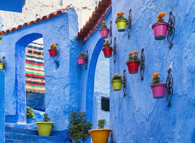 Tours and day trip in Morocco