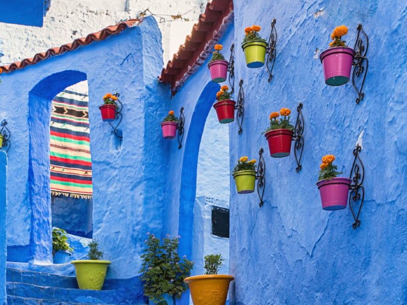 Tours and day trip in Morocco