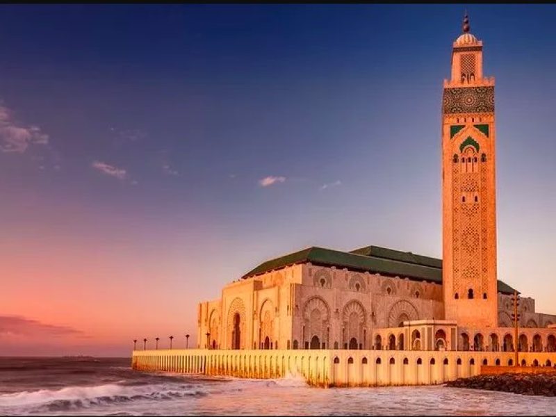 Tours and day trip in Morocco
