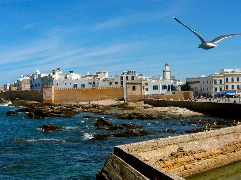 Tours and day trip in Morocco