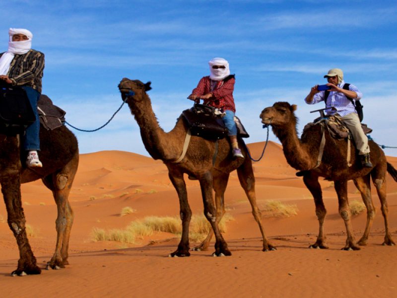 Tours and day trip in Morocco