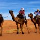Tours and day trip in Morocco