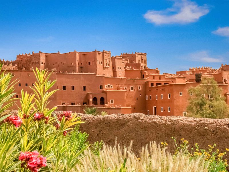 Tours and day trip in Morocco